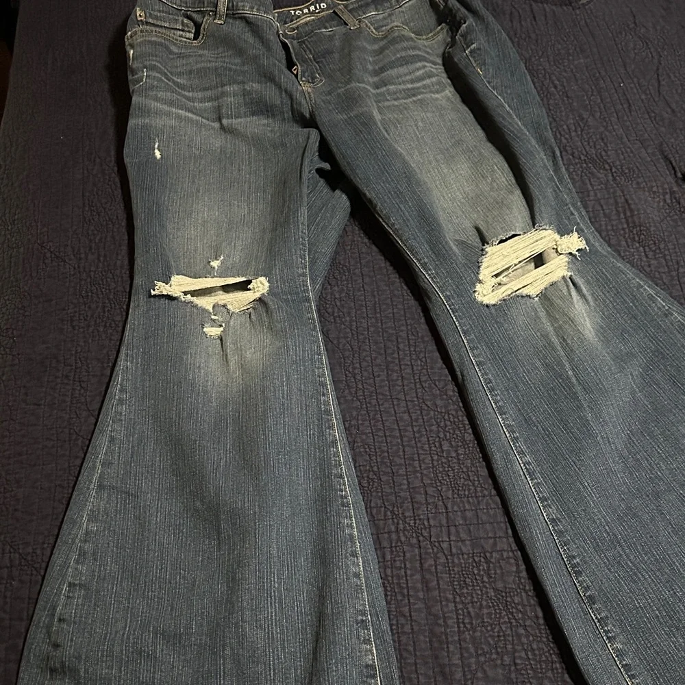 Torrid - Picture 1 of 4